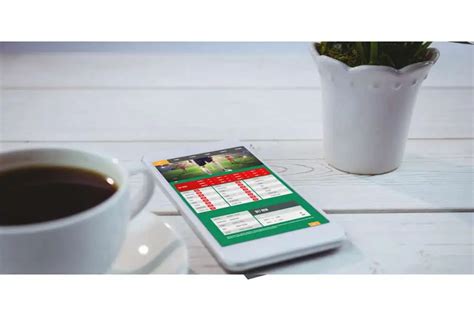 Odds » Stor guide med gode råd. Find den rette .